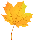 E:\Работа\Підготовка до уроків\5 клас\Образотворче мистецтво\Як скомпонувати малюнок в обраному форматі\86-867028_autumn-leaves-maple-leaf-кленовый-лист-вектор-png.png